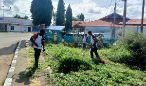Aksi pembabatan rumput Komunitas ATC bersama Wakil Bupati Merauke, Fauzun Nihayah – Surya Papua/Frans Kobun