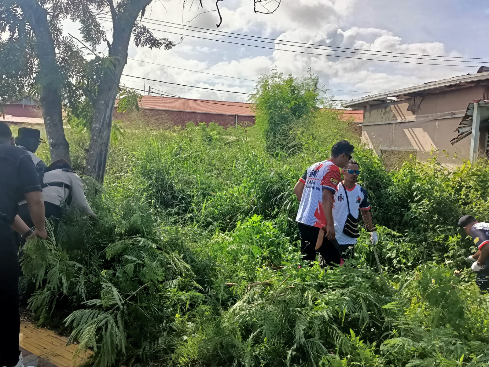Pembabatan rumput di depan Bank Mandiro oleh Komunitas ATC – Surya Papua/Frans Kobun