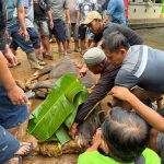Hewan kurban yang diberikan TSE Group sedang dipotong di salah satu masjid – Surya Papua/IST