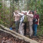 Beberapa wisatawan asing sedang melakukan pemotretan habitan di hutan dalam wilayah Provinsi Papua Selatan – Surya Papua/IST