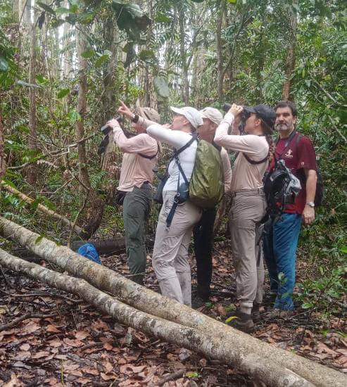 Beberapa wisatawan asing sedang melakukan pemotretan habitan di hutan dalam wilayah Provinsi Papua Selatan – Surya Papua/IST