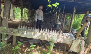 Lokasi atau tempat pembuatan minuman lokal jenis sopi yang digerebek Polsek Muting – Surya Papua/IST