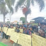 Ratusan OAP yang melakukan aksi demonstrasi memrotes hasil CPNS 2024 – Surya Papua/Frans Kobun