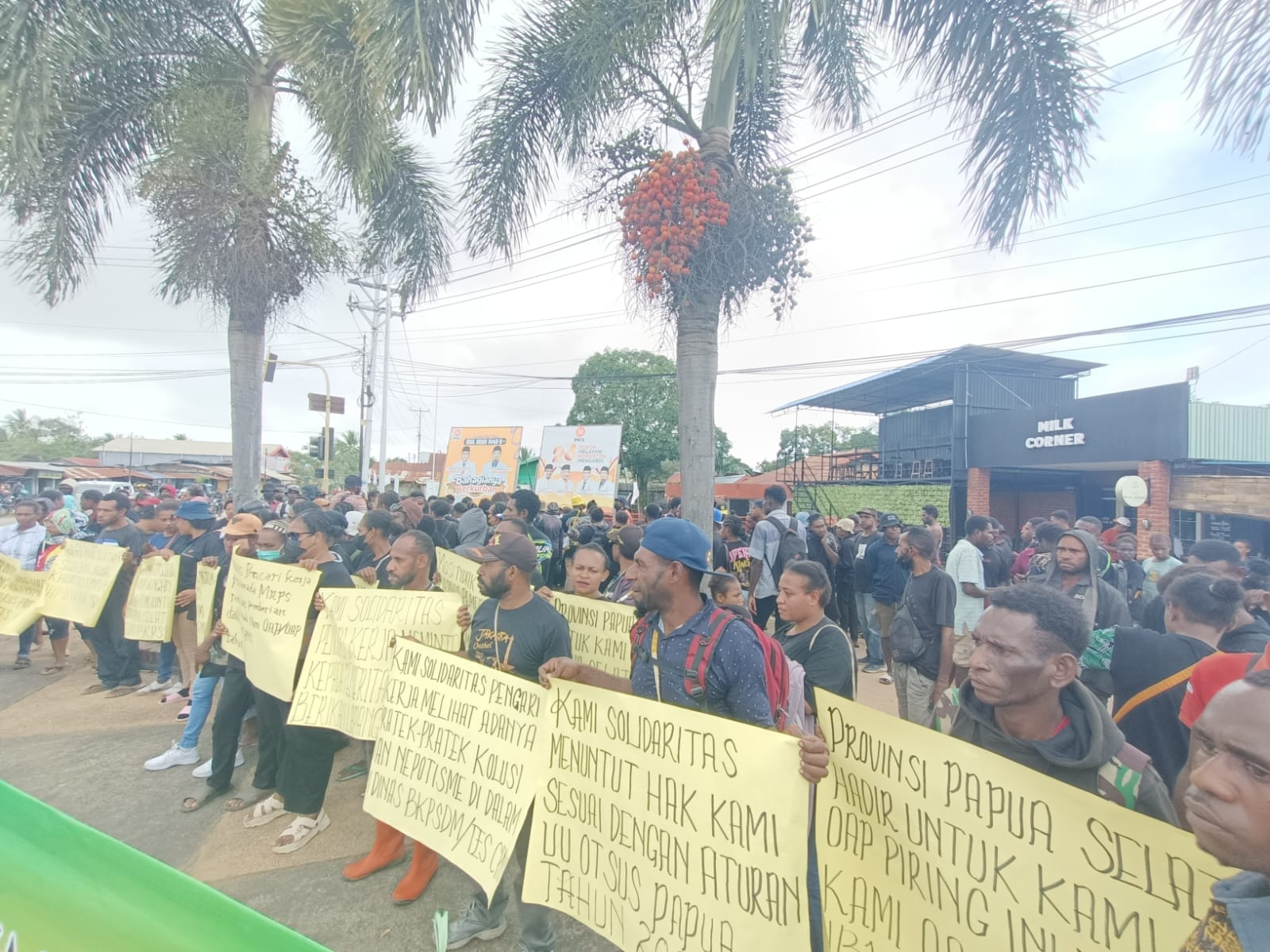 Ratusan OAP yang melakukan aksi demonstrasi memrotes hasil CPNS 2024 – Surya Papua/Frans Kobun