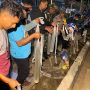 Cairan sopi yang diisi dalam kantong plastic es sebanyak 80 liter saat disita aparat kepolisian ketika KM Tatamailau berlabuh – Surya Papua/IST