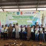 Pimpinan Cabang Perum Bulog Merauke, Karennu bersama Asisten I Setda Provinsi Papua Selatan, Agustinus Joko Guritno, Bupati Merauke, Yoseph Bladib Gebze sera Muspida dan perwakilan masyarakat penerima bantuan pangan beras foto bersama- Surya Papua/Frans Kobun
