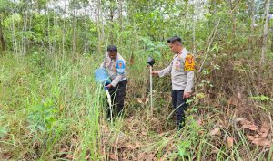 Kapolsek Muting, Ipda Melkianus Bunga bersama anggotanya memusnahkan sagero dengan cara dituang ke tanah – Surya Papua/IST