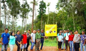 Kegiatan penanaman bibit pohon oleh PT PAL dengan melibatkan masyarakat – Surya Papua/IST