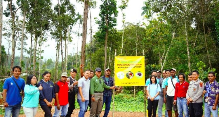 Kegiatan penanaman bibit pohon oleh PT PAL dengan melibatkan masyarakat – Surya Papua/IST
