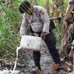 Sagero yang ditumpahkan ke tanah oleh salah seorang anggota Polsek Naukenjeray setelah operasi – Surya Papua/IST