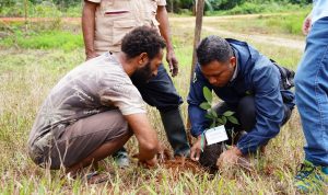 Kegiatan penanaman anakan sejumlah pohon yang dilakukan masyarakat bersama TSE Group – Surya Papua/IST