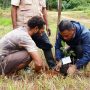 Kegiatan penanaman anakan sejumlah pohon yang dilakukan masyarakat bersama TSE Group – Surya Papua/IST