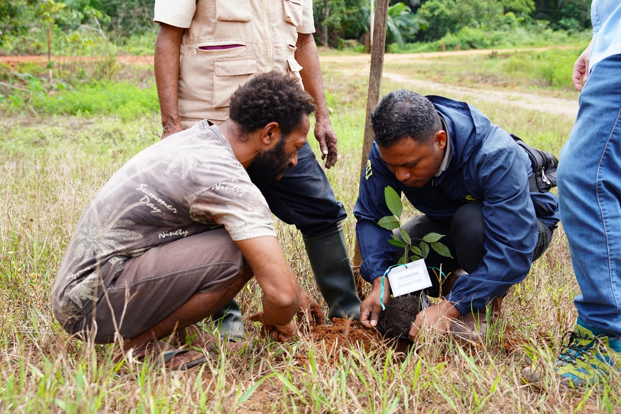 Kegiatan penanaman anakan sejumlah pohon yang dilakukan masyarakat bersama TSE Group – Surya Papua/IST