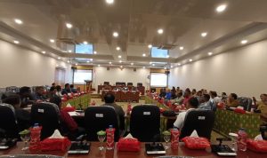 Bupati Mappi, Kristosimus Yohanes Agawemu sedang memaparkan program kerja dihadapan DPR Papua Selatan – Surya Papua/Frans Kobun