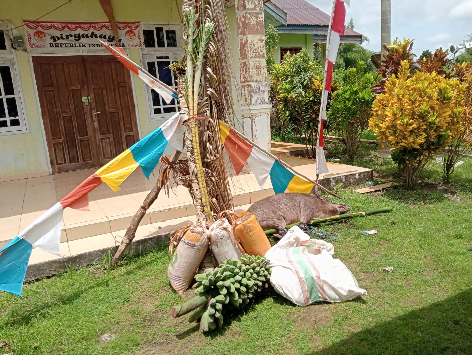 Kantor Kampung Sota, Kabupaten Merauke yang dipalang beberapa waktu lalu – Surya Papua/IST