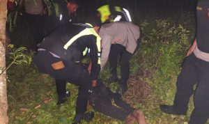 evakuasi 7 Korban lakalantas sedang dievakuasi aparat kepolisian untuk dibawa ke RSUD Merauke – Surya Papua/IST