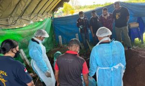 Penggalian kuburan almarhumah Julia Risky oleh Tim Laboratorium Forensik Polda Papua yang berlangsung kemarin- Surya Papua/IST