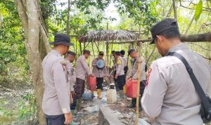 Milo jenis sagero yang disita sekaligus dimusnahkan dengan cara ditumpahkan ke tanah – Surya Papua/IST