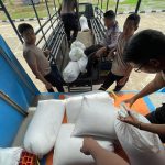 Belasan karung berisi jagung yang sedang diangkut untuk dibawa ke Bulog sekaligus dijual – Surya Papua/IST