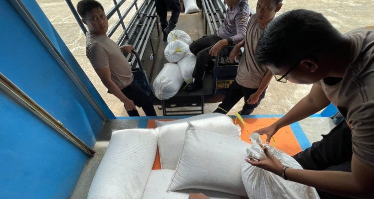 Belasan karung berisi jagung yang sedang diangkut untuk dibawa ke Bulog sekaligus dijual – Surya Papua/IST