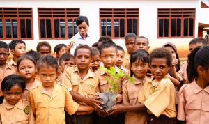 pohon 6 Anakan pohon yang siap ditanam oleh anak-anak SDN Kigorun, Ulilin, Kabupaten Merauke – Surya Papua/IST