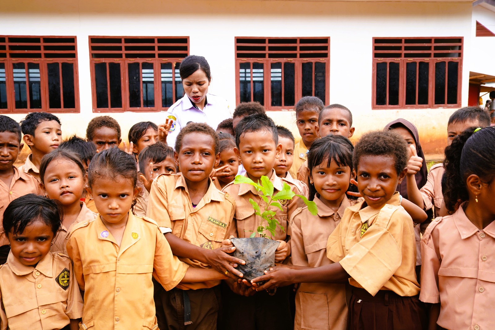 Anakan pohon yang siap ditanam oleh anak-anak SDN Kigorun, Ulilin, Kabupaten Merauke – Surya Papua/IST