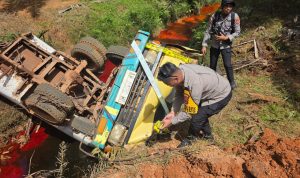 cpo 3 Truk yang terguling dan ringsek parah hingga sopir terjepit dan tak sadarkan diri – Surya Papua/IST