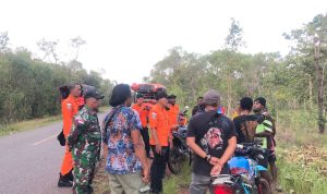 sesat 6 Tim Gabungan SAR yang melakukan pencarian korban Gabriel setelah diduga tersesat di hutan- Surya Papua/IST