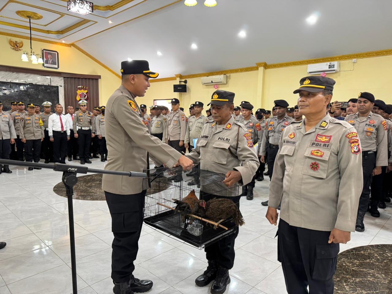 Kapolres Merauke, AKBP Leonardo Yoga sedang menyerahkan ayam kampung dua ekor kepada dua perwira polisi yang memasuki masa pensiun – Surya Papua/IST
