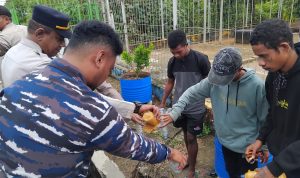 Minuman lokal jenis sopi yang langsung ditumpahkan seyelah disita dari salah seorang penumpang – Surya Papua/IST
