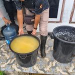 Bahan ferementasi dalam ember yang siap digunakan untuk memproduksi sopi – Surya Papua/IST