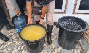 Bahan ferementasi dalam ember yang siap digunakan untuk memproduksi sopi – Surya Papua/IST