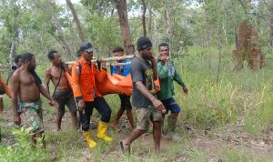 tandu satu Korban Gabriel Mahuze sedang ditandu setelah ditemukan dan dibawa ke Puskesmas Sota guna mendapat pertolongan – Surya Papua/IST