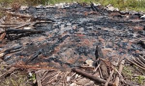 Bevak yang menjadi temat istirahat untuk mencari makan di hutan milik Esau dibakar – Surya Papua/IST