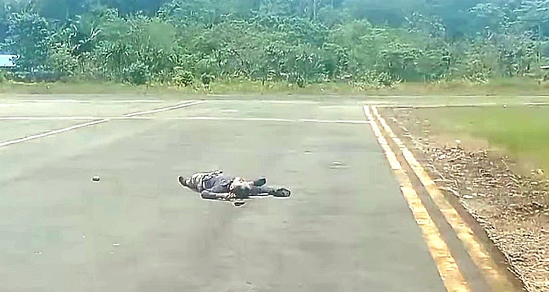 Co-pilot pesawat yang dibunuh KKB dan tergeletak di Bandara Korowai, Kabupaten Boven Digoel – Surya Papua/IST