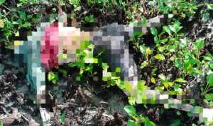 busuk 2 Sesosok mayat yang ditemukan salah seorang warga saat sedang memeriksa jaring – Surya Papua/IST