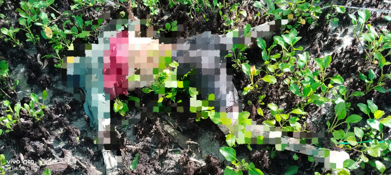 Sesosok mayat yang ditemukan salah seorang warga saat sedang memeriksa jaring – Surya Papua/IST