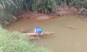 Pemantauan kualitas air di area perkebunan sawit oleh PT BCA – Surya Papua/IST