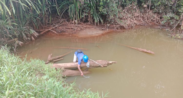 Pemantauan kualitas air di area perkebunan sawit oleh PT BCA – Surya Papua/IST