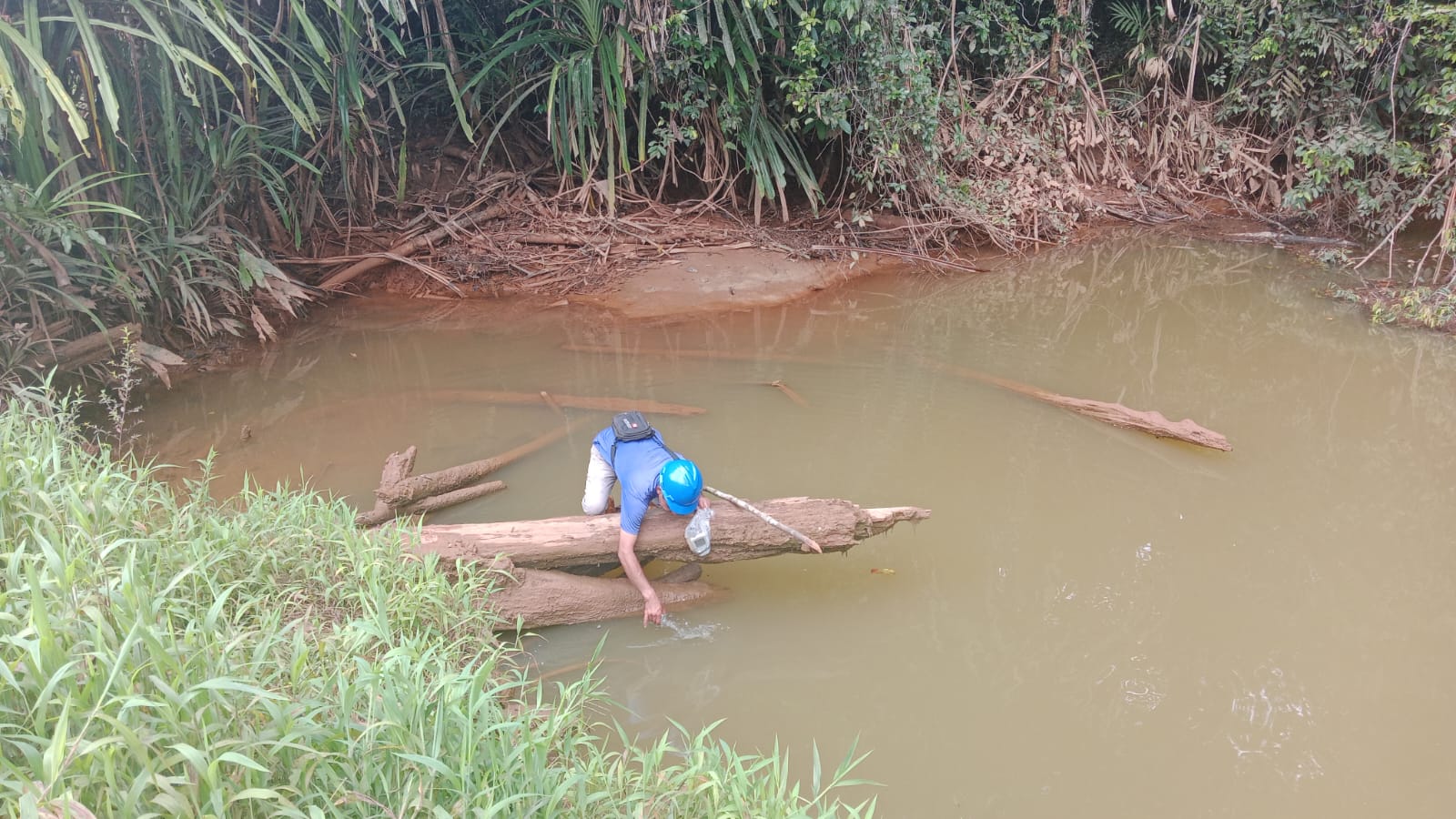 Pemantauan kualitas air di area perkebunan sawit oleh PT BCA – Surya Papua/IST