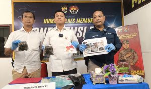 Bawa Ganja 84,89 Gram dari Jair-Boven Digoel, Satnarkoba Polres Merauke Ciduk Pelaku di Wasur Kampung