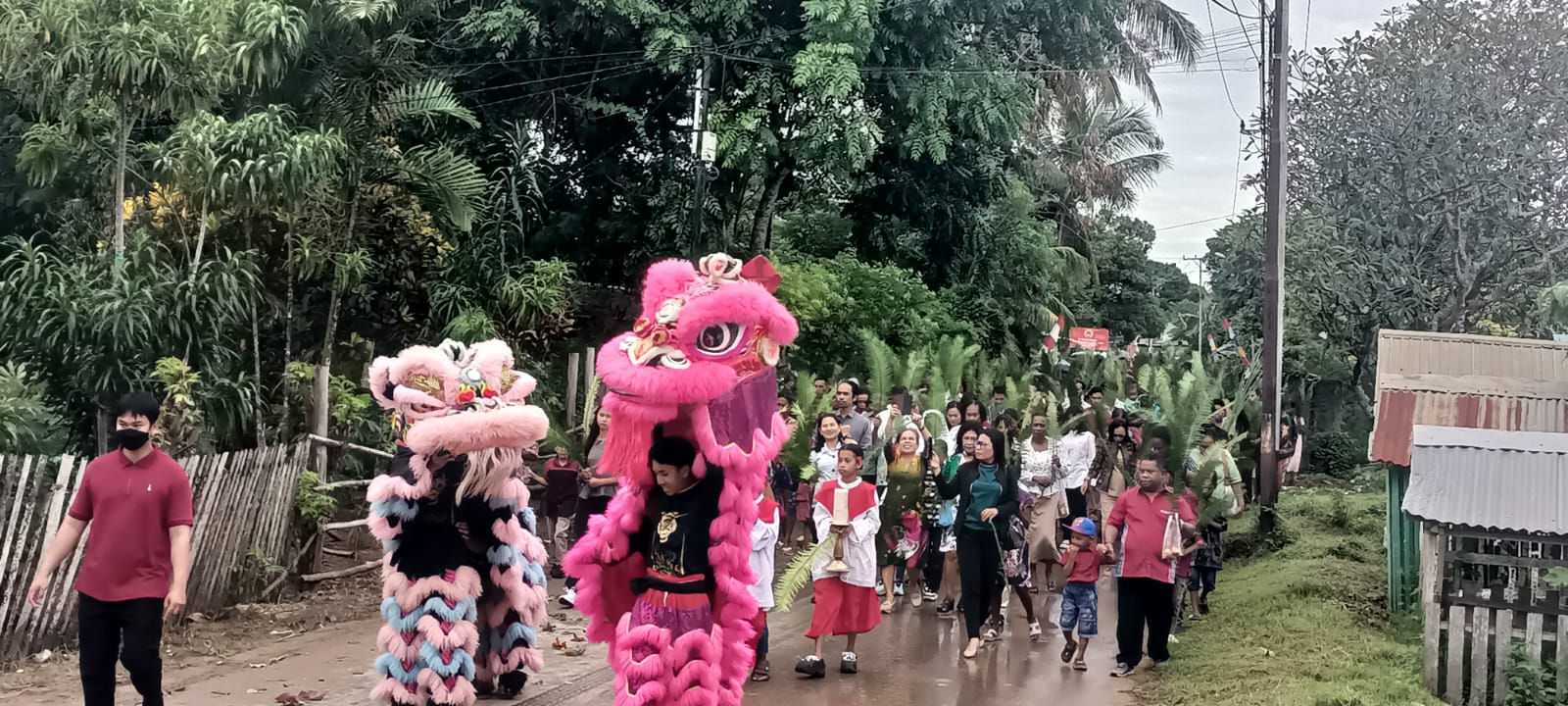 Perarakan umat pada perayaan Minggu Palma di Gereja Santa Theresia Buti – Surya Papua/Frans Kobun