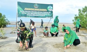 Kegiatan penanaman anakan pohon mangrove di Pantai Payum – Surya Papua/IST