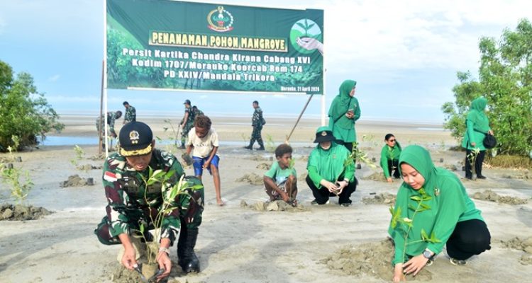 Kegiatan penanaman anakan pohon mangrove di Pantai Payum – Surya Papua/IST