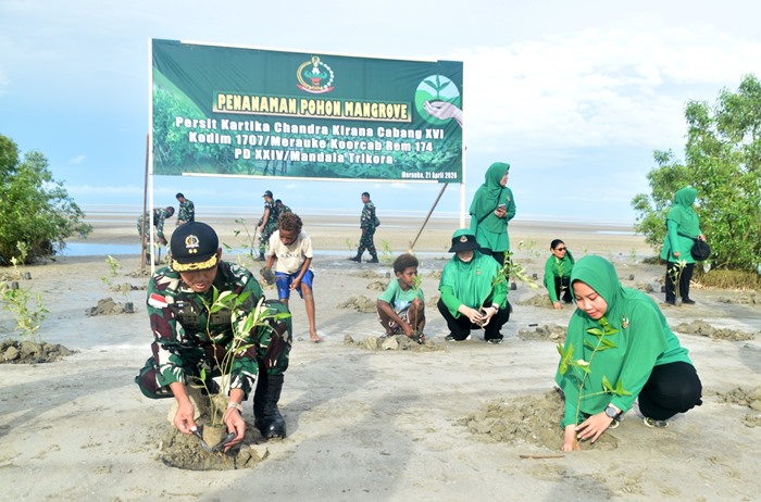 Kegiatan penanaman anakan pohon mangrove di Pantai Payum – Surya Papua/IST