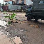 Anakan pohon pisang yang ditanam warga di Jalan Polder, Kelurahan Maro, Kabupaten Merauke – Surya Papua/IST