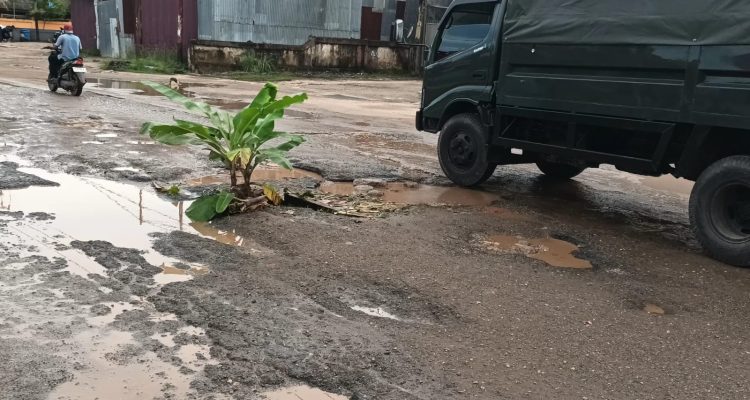 Anakan pohon pisang yang ditanam warga di Jalan Polder, Kelurahan Maro, Kabupaten Merauke – Surya Papua/IST