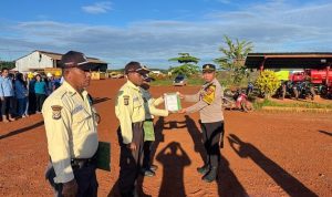 Penyerahan penghargaan oleh Kapolsek Muting kepada tiga sekuriti – Surya Papua/IST