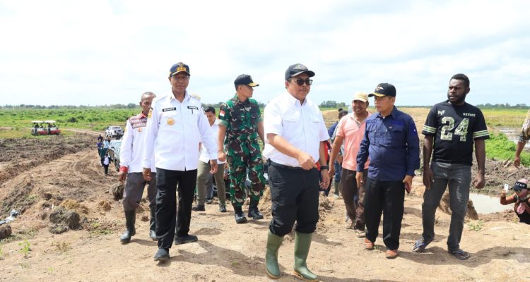 Dirjen Lahan dan Irigasi Kmentan RI, Hermanto didampingi Gubernur Papua Selatan, Apolo Safanpo meninjau lahan cetak sawah di Kampung Waninggap Kai – Surya Papua/IST