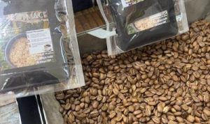 Inilah produk kopi Mace Papua yang diluncurkan PMKRI – Surya Papua/IST